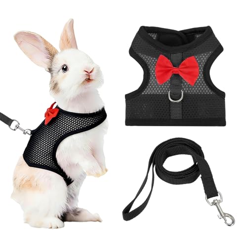 Rabbit Harness and Leash, Small Pet Cute Vest Harness Leash Soft Adjustable Buckle Breathable Mesh (M, Black) for Bunny Kitten Small Pig Puppies Camping Hiking Training - color: Black, size: M