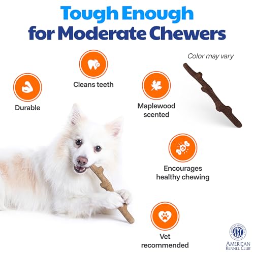 American Kennel Club Training Dog Chew Toy, TPR Wood Stick Dog Toy, Durable Dog Toy for Moderate Chewers, Maplewood Scented for Long-Lasting Engagement, Supports Dental Health - size: Stick