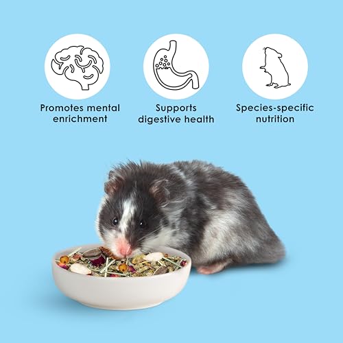 Kaytee Food from The Wild Natural Pet Hamster Food, 2 Pound - size: 2 Pound (Pack of 1)