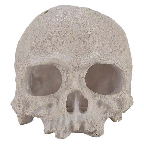 Resin Reptile Hideout for Tank Realistic Skull Decor for Terrarium White Decorative Skeleton Head Hides and Caves for Fish Ball Python Axolotl Tarantula - color: White