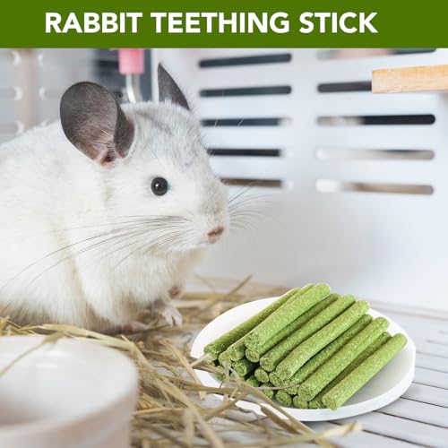 WDEFUN 45 PCS Timothy Hay Sticks for Rabbits Natural Molar Teeth Stick Chew Toys for Bunnies Chinchillas Guinea Pigs Hamsters and Other Small Animals Treats - size: 0.27 Ounce (Pack of 45)