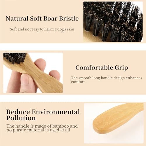 Soft Boar Bristle Dog Brush for Short Haired Dogs, Made of Bamboo,（Small） | Massage Brush, Gentle Deshedding & Grooming Tool, Ideal Dog Hair Brush for Pets, Dog Brushes for Grooming and Shedding - size: Small
