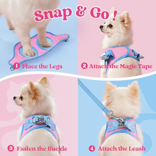 rabbitgoo Dog Harness Small Sized and Leash Set, Step in Soft Vest | Breathable Mesh, Easy Wear with Hook & Loop, Light and Reflective for Walking, Multi-colored, Pink & Blue, XXS - color: Pink & Blue, size: XXS (Chest: 12.4"-14.2")