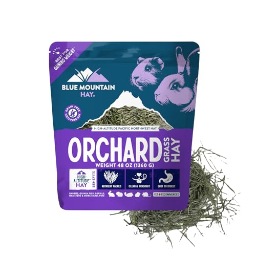 Blue Mountain Hay Orchard Grass Hay for Small Pets, High Fiber Feed, 48oz | Fresh Orchard Grass, High Fiber Pet Forage, Supports Digestion and Dental Wear, Sweet Aroma, Additive Free, Natural Foraging - size: 3 Pound (Pack of 1)