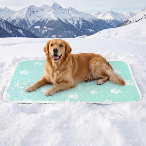 Cooling Mat for Large Dog, Waterpoof Q-Max>0.5 Breathable Cold Crate Pad for Puppy Cat, Washable Kennel Bed for Active Pet with Chill Soothing Fabric to Rapid Cooling, 39.3×27.5, Green - color: Mint Green, size: 39.3"×27.5"
