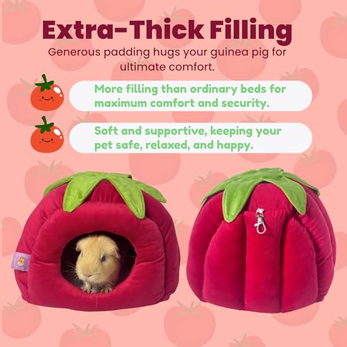 Guinea Pig Hideout Bed, Tomato-Shaped Bottomless Plush House | Cute tomato design. Bottomless easy-clean structure. Thick plush comfort. Cozy hideout for guinea pigs