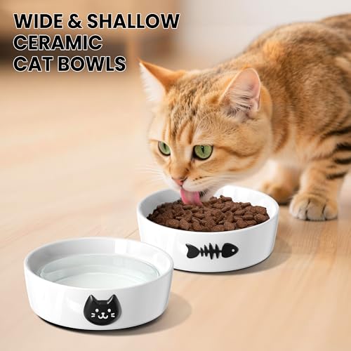 Ceramic Cat Bowls Set, 5.3''×1.5'', with Anti-Slip Rings, 1 Cup Capacity