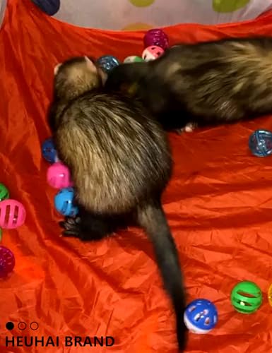10 Pack Hollow Plastic Play Balls, Assorted Shapes for Ferrets | Multi Style Hollow Plastic Balls, Built In Small Bells, Smooth Pp Plastic Material, Mixed 1.5–2.7 Inch Sizes - size: 1.5'' - 2.7''