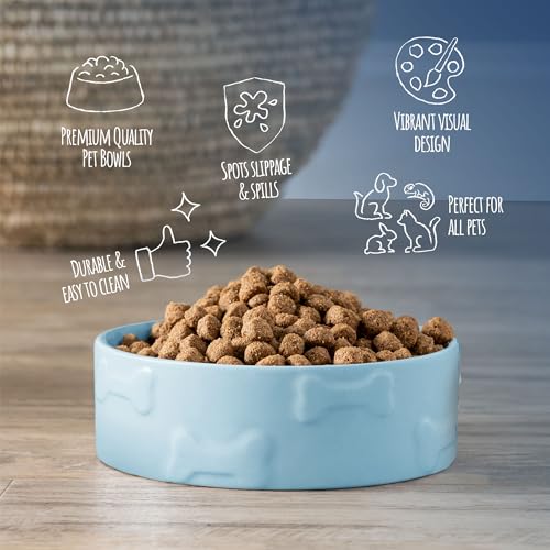 Manor Large Ceramic Pet Bowl – Blue, Durable Modern Design for Cats & Dogs - color: Blue, size: Large