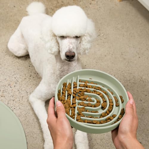 Slow Feeder Dog Bowls - Large Size Silicone Slow Eating Dog Bowl for Puppies & Dogs with Suction Cup -Dishwasher-Safe, Lick Mat Design, Reduces Gulping,for All Breeds,9.5”x1.5”- Sage - color: Sage - Rainbow Design, size: Large (9.5” Across and 1.5” Tall)