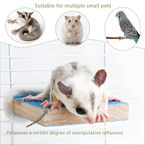6 Pcs Sugar Glider Toys Wood, Small Animals Toys Cage Steps, Sugar Glider Enrichment Toys for Squirrels, Hamsters and Guinea Pigs