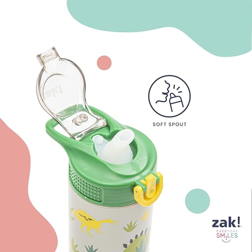 Zak Designs Sonic the Hedgehog Sage 19oz Leak-Proof Straw Kids Water Bottle | BPA Free, Insulated Stainless Steel, Cupholder Friendly, Dishwasher Safe, Lid Lock, Handle, For School, Home, Travel, Outdoor - color: Sonic the Hedgehog (Sage)