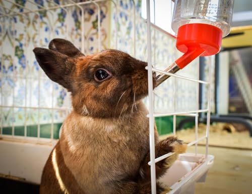 CLASSIC Crystal Deluxe 'Giant' Small Animal Drinking Bottle – 38 oz | Non-Leak Water Bottle for Rabbits, Ferrets, Chinchillas & Other Large Small Pets - size: 1100 ml