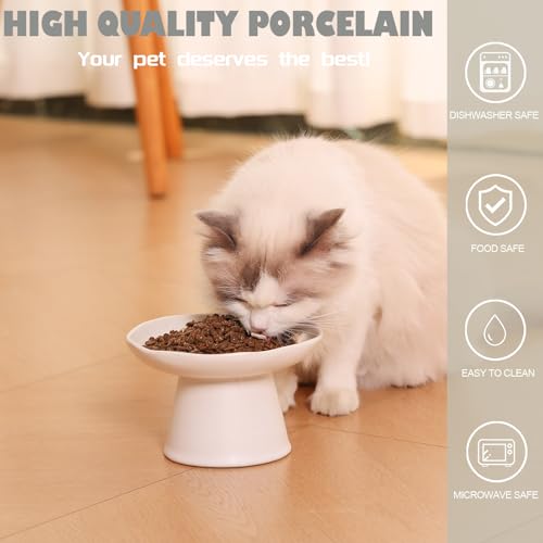 Extra Wide 6.1" Raised Cat Food Bowl, Shallow Ceramic Elevated Cat Feeder, Anti Vomiting, Stress Free, Whisker Fatigue, Pet Food or Water Bowl, White - color: White-Shallow