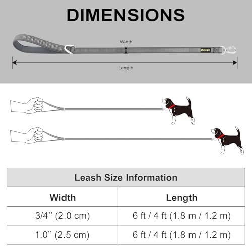 Plutus Pet Heavy Duty Dog Leash with Lockable Aluminum Carabiner, 6 FT Long | Double-Sided Reflective Nylon, Padded Handle, Heavy Duty, for Puppy Small Medium and Large Dogs (Purple, 4/5" x 6') - color: Lilac Purple, size: 4/5" x 6'