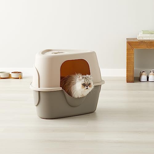 Amazon Basics Cat Litter Box with Lid, No-Mess, Spacious Enclosed Design with Odor Control, Easy Access, Stain Resistant, 26" x 23" x 20", Charcoal