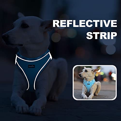 haapaw Dog Harness with Leash Set, No Pull Adjustable Reflective Step-in Puppy Harness with Thickened Padded Vest for Extra-Small/Small Medium Dogs - color: Turquoise, size: XS