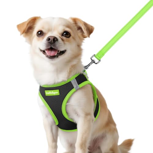 rabbitgoo Dog Harness Small Sized and Leash Set, Step in Soft Vest | Breathable Mesh, Easy Wear with Hook & Loop, Light and Reflective for Walking, Multi-colored, Black & Green, XXS - color: Black & Green, size: XXS (Chest: 12.4"-14.2")