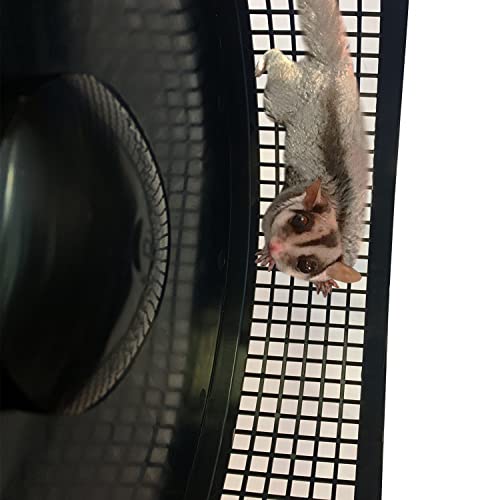 Exotic Nutrition Starter Package for Sugar Gliders - Includes Exercise Wheel, Food Assortment, Water Bottle, Food Dishes & Nest Pouch