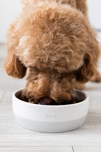 Pearhead Ceramic Bone Appétit Dog Bowl, Small/Medium 2.25 Cups/ 18 oz, Gray - color: Gray Bone Appetit Bowl, size: Small