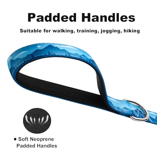 5ft Nylon Dog Leash with Soft Neoprene Handle for Small Dogs, Blue Sunset - color: Blue Sunset, size: 5/8in x 5ft - Single Handle
