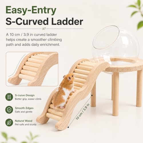 Hamster Sand Bath Container with Clear Dome, Anti-Scatter Dust Box for Dwarf Hamsters, Syrian Hamsters & Gerbils, Easy-Entry Small Pet House (Small) | Sand bath for hamsters, anti-scatter clear dome, curved ladder, scoop included for dwarf, Syrian hamster