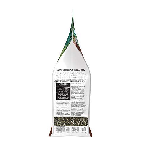 Oxbow Garden Select Young Guinea Pig Food, Uniform Guinea Pig Pellets, 4 lb | Guinea Pig Food, Timothy Hay, Alfalfa, High Fiber for Digestive Health, Vitamins & Minerals, Prevents Selective Feeding - size: 4 Pound (Pack of 1)