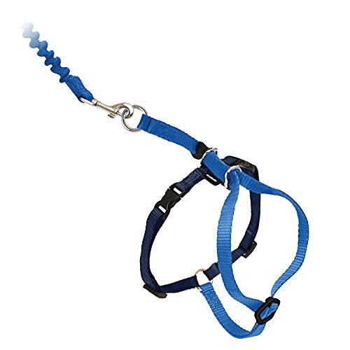 PetSafe Come with Me Kitty Harness and Bungee Cat Leash, Royal Blue, Medium | Adjustable 2-Point Fit Applies Gentle Pressure to Shoulders, Not Neck, for Small & Average Cats with 10.5 in - 14 in Girth - color: Royal Blue, size: Medium (Pack of 1)