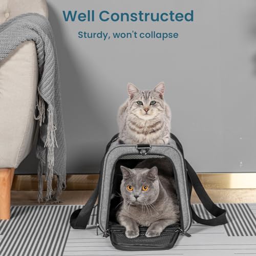 PETSFIT Large Cat Car Carrier,19 x 12 x 12 | Roomy Escape-Proof Cat Car Seat, Safe Driving, Lockable Zippers & Safety Tether, Soft-Sided Travel Carrier - color: Z-Gray, size: 19.0"L x 12.0"W x 12.0"H