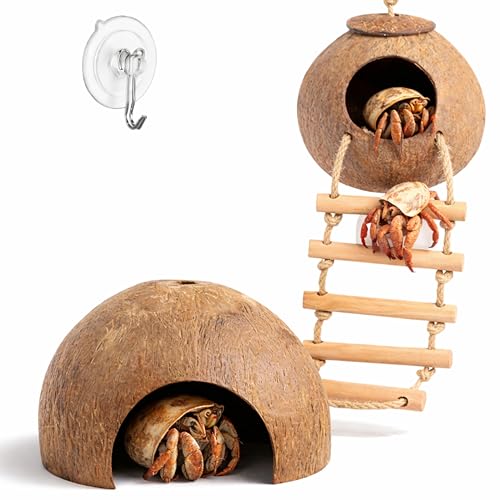 Hermit Crab Coconut Hideout Climbing Toys, Hermit Crab Coconut Shell Hut and Hideout with Ladder, Climbing Ladder Bridge Ramp Hammock Toys, Small Animals Tank Accessories (Coconut Ladder)