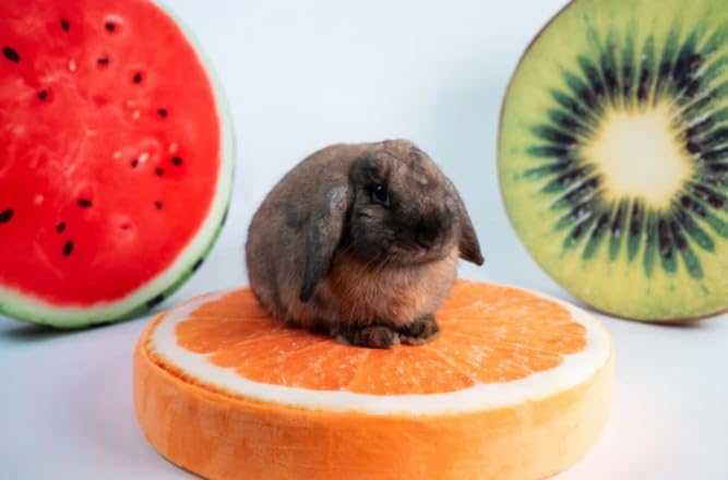 GuineaDad Fruit Couch – Plush Guinea Pig Bed for Bunnies & Small Pets – Soft Lounge Spot & Hangout for Guinea Pigs and Rabbits (Wood)
