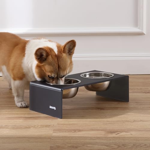 DBL2000J Keaton 5" Small/Medium Modern Acrylic Rectangular Elevated Pet Feeder with 20oz 2-Stainless Steel Bowls, Dark Gray/Chrome - color: Dark Gray/Chrome, size: 20 Ounces (5" Cups 2-Pack)