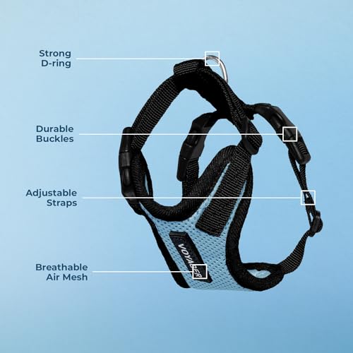 Voyager Step-in Lock Dog Harness - Baby Blue/Black Trim, X-Small | 13 - 16" in Chest, Adjustable, Breathable Air Mesh, Lightweight for Daily Walks, Strong Clips, Heavy Duty D-Ring - color: Harness (Baby Blue/Black Trim), size: XS (Chest: 13 - 16")