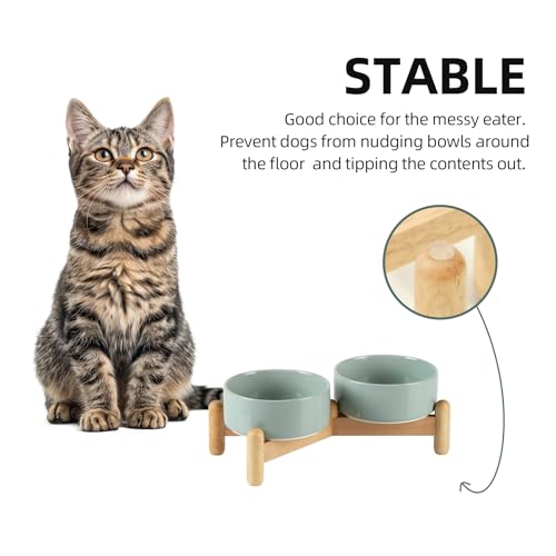 Havniva Elevated Dog Bowls Ceramic Dog Bowls with Stand, Dog Food Bowl | 5.1” Raised Dog Bowls with Non-Slip Wood Stand, Dog Food and Water Bowl Set, Double Dog Feeding Bowls for Small Dogs - color: 2 Bowls+Stand - Light Green, size: 5.1inch