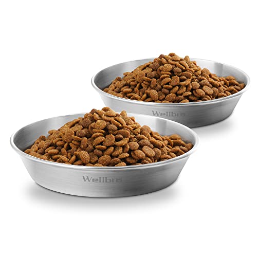 Cat Food Bowls, 2 Pcs Stainless Steel Cat Food and Water Bowls, Whisker Fatigue Shallow Cat Dishes, Small Dog Puppies Fat Faced Cat Kitten Supplies - color: 2 Basic Bowls