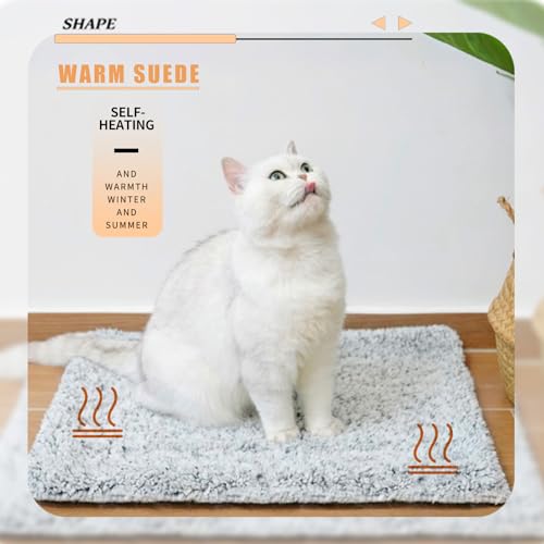 2-in-1 Cat Cooling Mat & Self Warming Pet Bed, All Season | Self Warming & Cooling, Hot/Cold Mat for Dogs and Cats, Free Gel Pack and Disposable Self-heating Pad - color: Light Blue+Gel ice pack+Selfheating pad, size: Medium