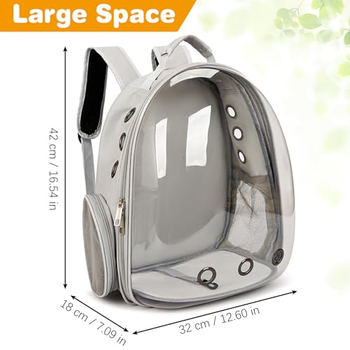 kathson Bearded Dragon Carrier with Harness and Leash Set, Large Reptile Travel Carrier Portable Lizard Backpack Clear Small Animals Carrying Bag for Gecko Hamster Rabbit Hedgehog Kitten (Gray) - color: Gray