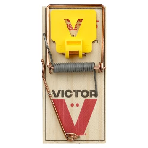 Victor Mouse Traps, 12-Pack Plastic Pedal Snap Traps, FSC Certified Wood | Indoor Rodent Control Reusable Mousetraps for Mice Pest Control Effective Instant Kill - style: 12 Plastic Pedal Traps