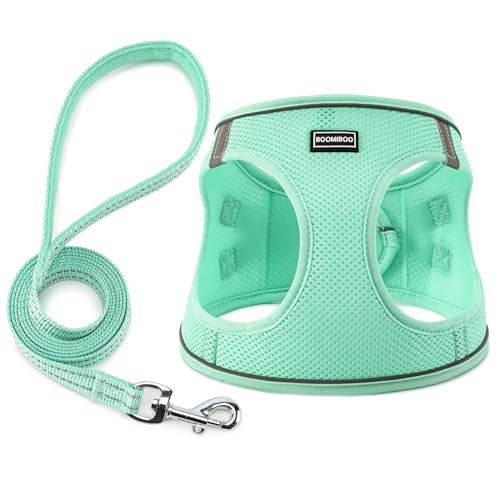 Dog Harness with Leash Set, Step-in Adjustable Puppy Pet Vest, Green XXS | Lightweight Breathable Air Mesh, Night Safety Reflective, No Pull Puppy Vest Harnesses for Small Medium Large Dogs, Cats - color: Green, size: XXS(Chest:10"-12")