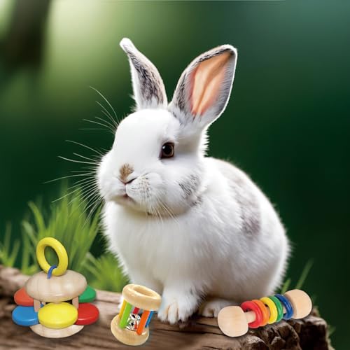 QWR 9PCS Wooden Bunny Toys,Safe Rabbit & Guinea Pigs Teeth Grinding Toy for Chinchillas, Hamsters & Small Animals - Indoor & Outdoor - size: 9PCS