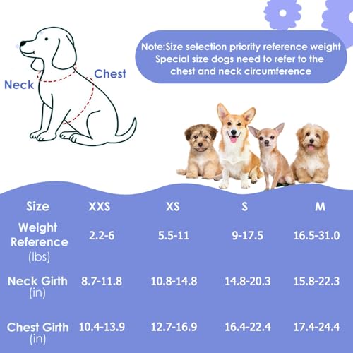 Lukovee Puppy Harness and Leash Set, No Pull, Lightweight Step in Vest | Adjustable, Soft Suede Vest, Easy Put on and off Pet Harness with Snap Buckle & 51in Leash for Small Medium Dogs (Blue, XXS) - color: ·Blue Flower, size: XX-Small ( 2.2-6lb )