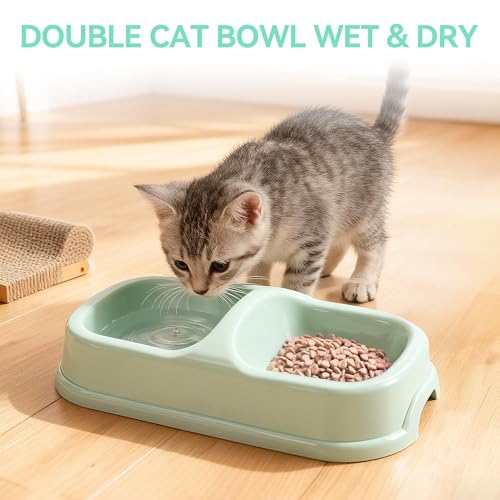 Pawise Newborn Small Cat Litter Box Kit for Kittens – 5‑Piece Kit with Shallow Cat Litter Pan, Feeding Bowls, Scooper, Kitten Starter Kit Mouse Toy, 14.5x10.5 Inches, Green - color: green