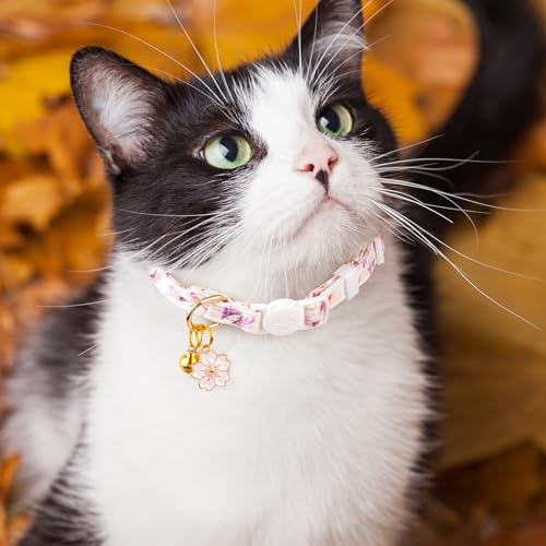 2 Pack Cotton Cat Collar White and Blue Flowers Cute Kitten Cat Collar | Breakaway Breathable Soft material With cute pendants with Bell - color: White&Blue