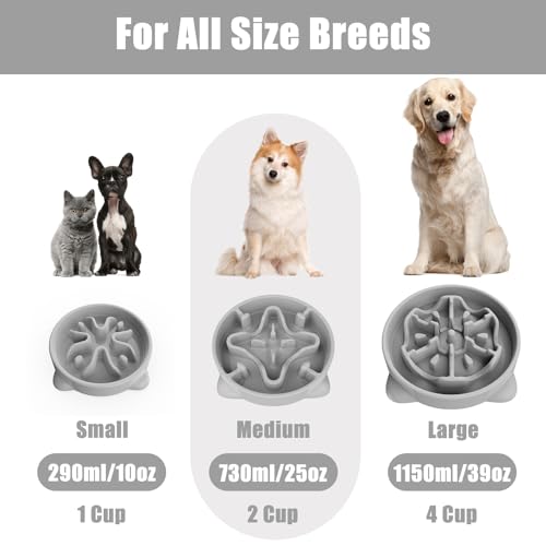 Slow Feeder Dog Bowls Medium Breed, Dog Food Bowl Medium Anti-Choking Bloat Stop Puzzle Healthy Eating Bowl (Gray, 2 Cup) - color: Gray, size: 2 Cup