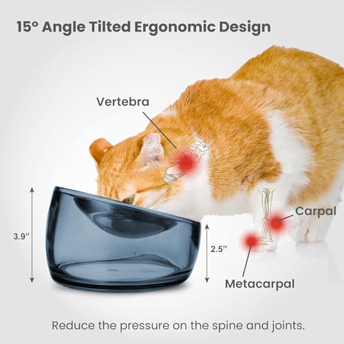 Felli Pet Oblik Whisker Fatigue Cat Food Bowl Raised Stainless Steel Shallow Dish, Pet Design Anti Vomit Tilted Metal Plate Feeder Elevated Acrylic Base (Shadow, 0.5 Cups Shallow Dish) - color: Shadow, size: 0.5 Cups Shallow Dish