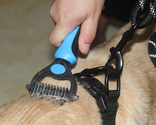 Maxpower Planet Pet Grooming Brush - Double Sided Dematting Undercoat Rake for Dogs and Cats, Extra Wide Pet Brush to Reduce Shedding by 95% (Blue, S) | 9 & 17 Teeth, Deshedding & Dematting Tool, Long & Thick Double Coats, Non-Slip Handle, Reduces Sheddin