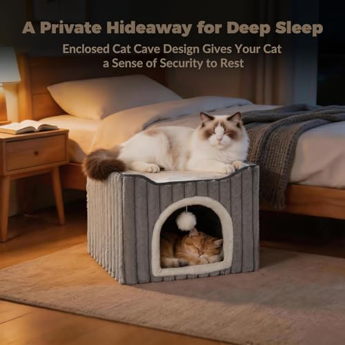 Avont 3-in-1 Cat Cave Bed for Indoor Cats with Scratch Pad | Scratch Pad & Hanging Ball, Large Hideaway for up to 20 LBS, Washable Cushion, Foldable Design, Available in Grey & Cream - color: Grey