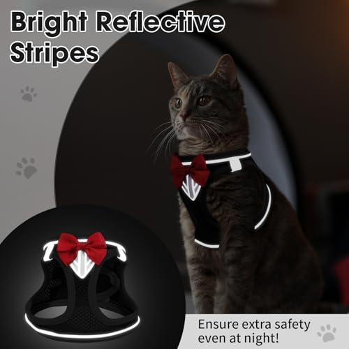 Cat Vest Harness and Leash Set, Escape Proof Kitten Harness Black XS | Safe Reflective Strips, Adjustable Easy Wear Kitty Harness, Sturdy Clip Buckle, Breathable Mesh , for Kitty Puppy Bunny Walks - color: Black, size: XS