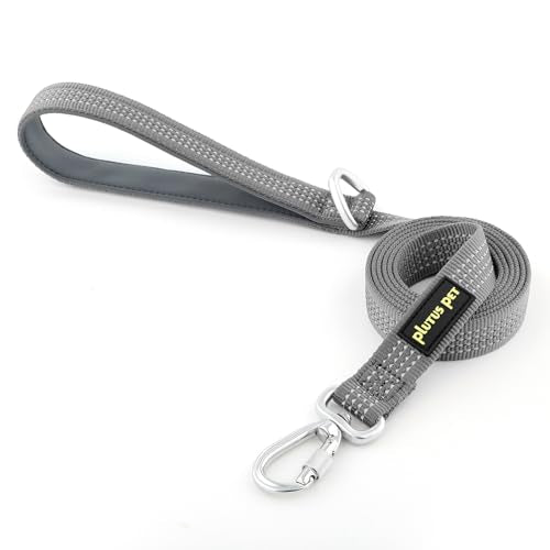 Plutus Pet Heavy Duty Dog Leash with Lockable Aluminum Carabiner, 4 FT Long | Double-Sided Reflective Nylon, Padded Handle, Heavy Duty, for Puppy Small Medium and Large Dogs (Gray, 1" x 4') - color: Gray, size: 1" x 4'