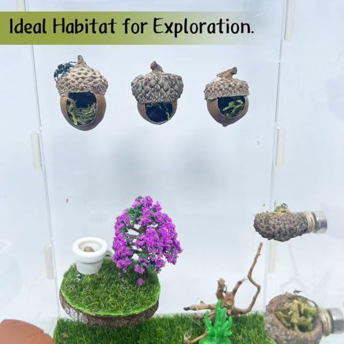 Jumping Spider Hide & Hideaway Made from Real Acorns | Handmade Magnetic Spider Cave, Ideal Habitat Accessory for Small Animals, Natural Decoration for Enclosure. 3 Pack (Round Acorn)